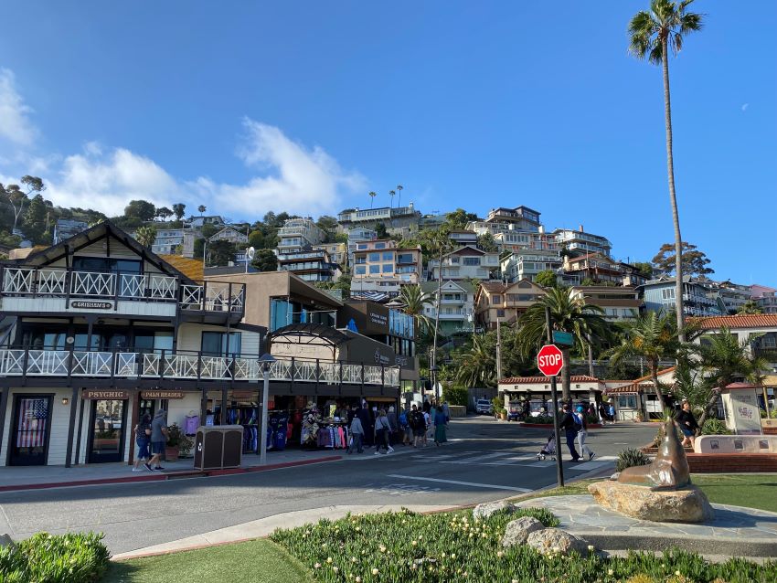 catalina island day cruise