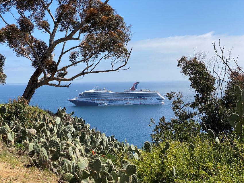 Cruise ship off the coast of Catalina