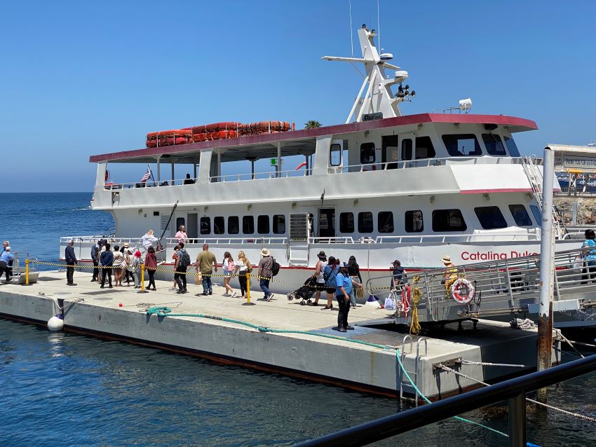 catalina island day cruise