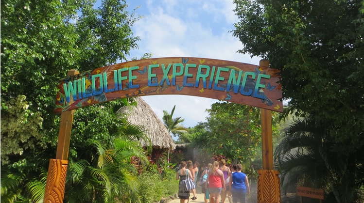 Wildlife Experience auf Harvest Caye