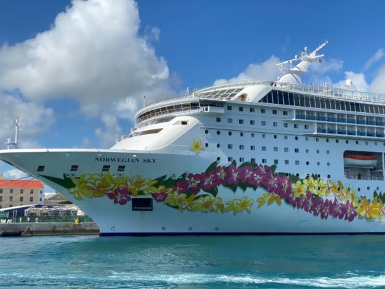 Complete Guide to Sailing Norwegian Cruise Line (What It's Like ...