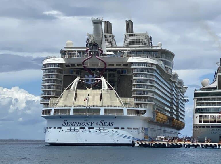 symphony of the seas crew member arrested