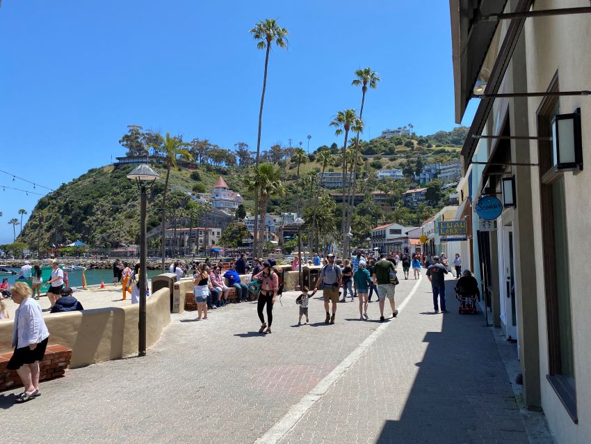 Waterfront boardwalk in Avalon